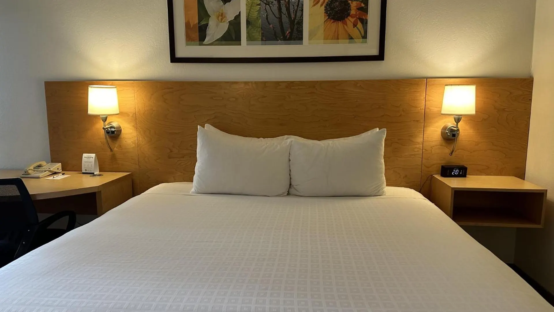 Hotel Nexus; BW Signature Collection Seattle 3*,  United States